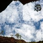 Blick gen Himmel, Purnululu Nationalpark, Echidma Chasm Trail, Australien (West)