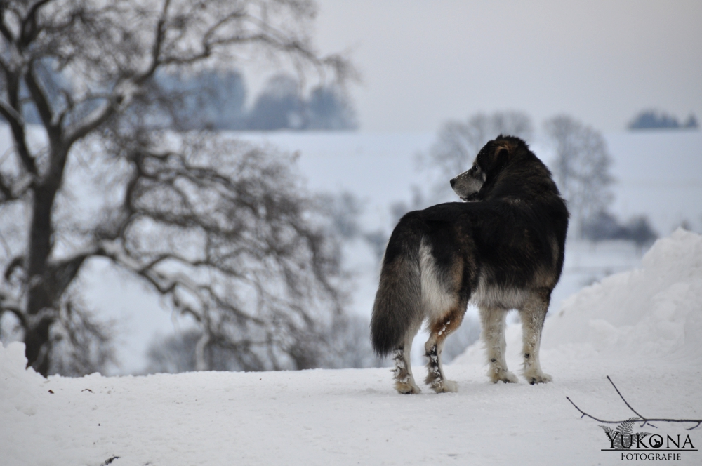 Blick gen Norden