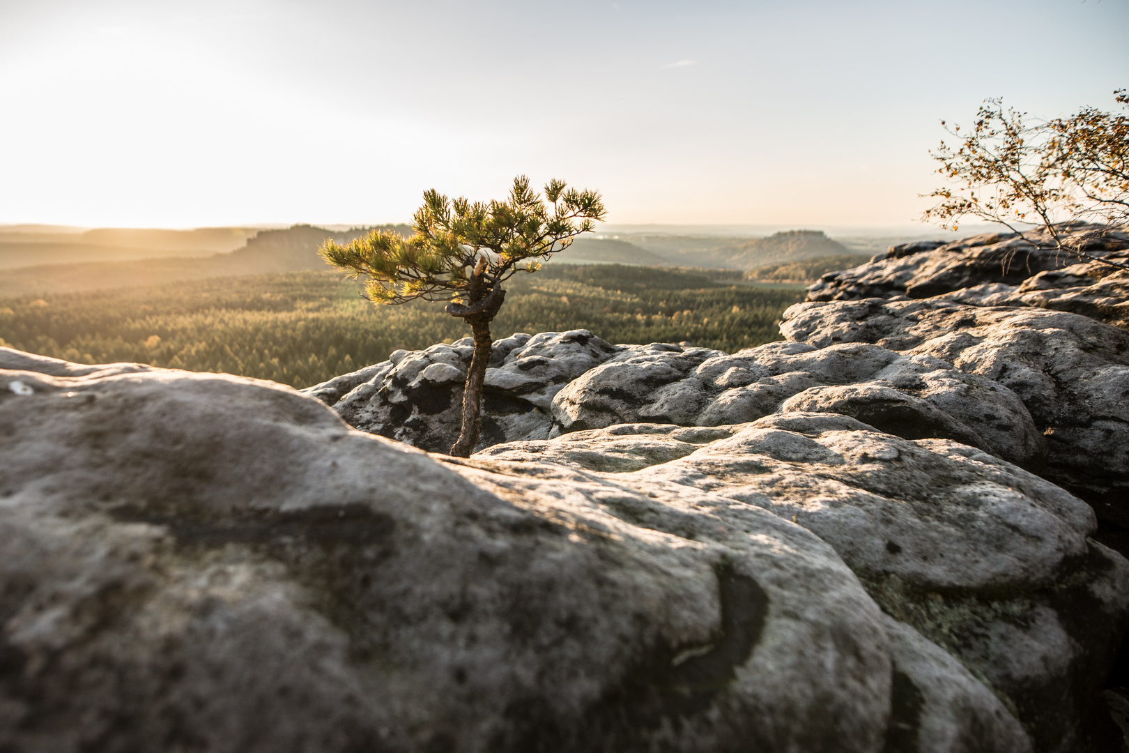 [ - Blick Gohrischstein - ]