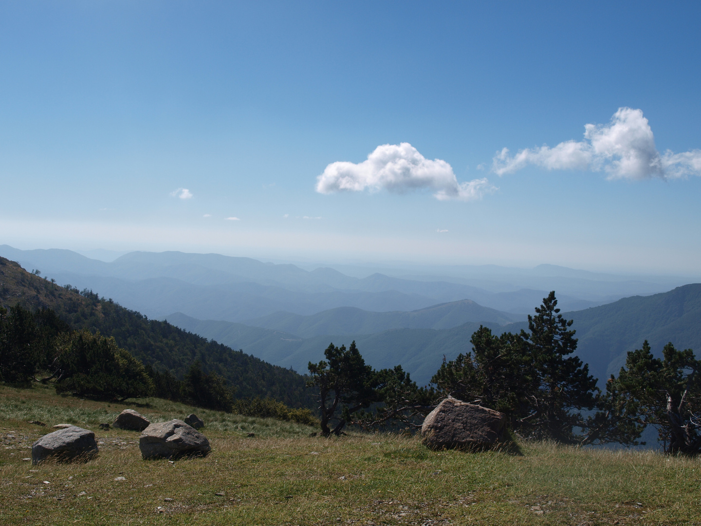 Blick herab vom Mont Aigoual