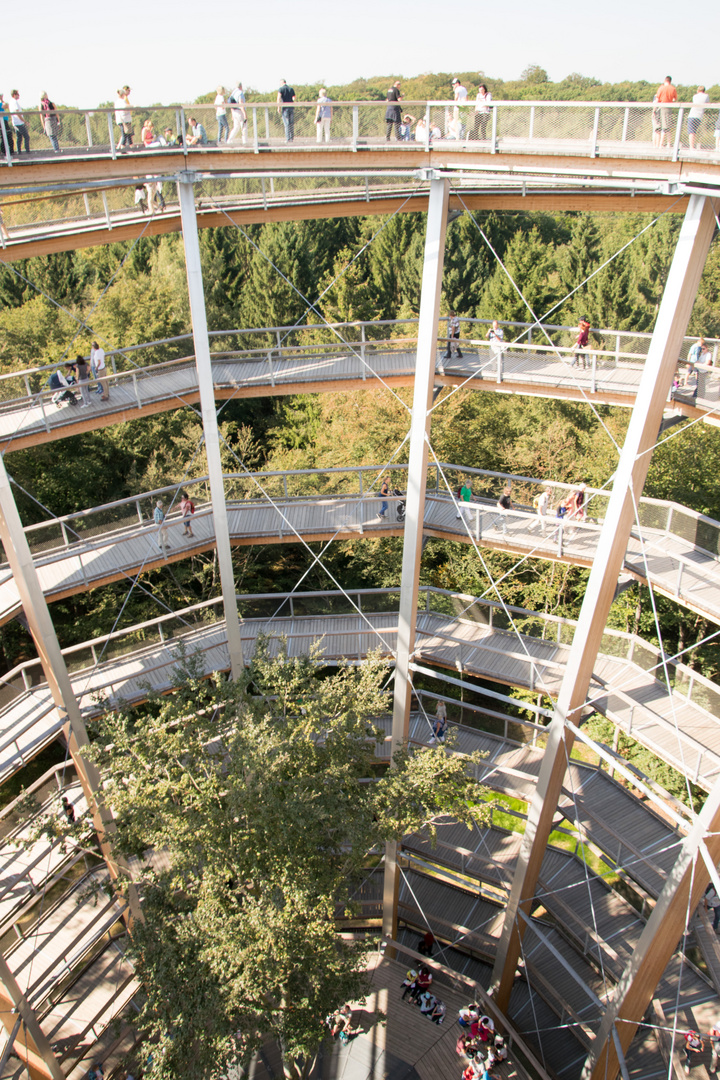 Blick herunter von der Plattform vom Turm  des Baumwipfelpfades