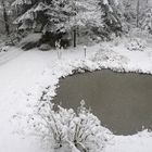 Blick heute aus meinem Fenster