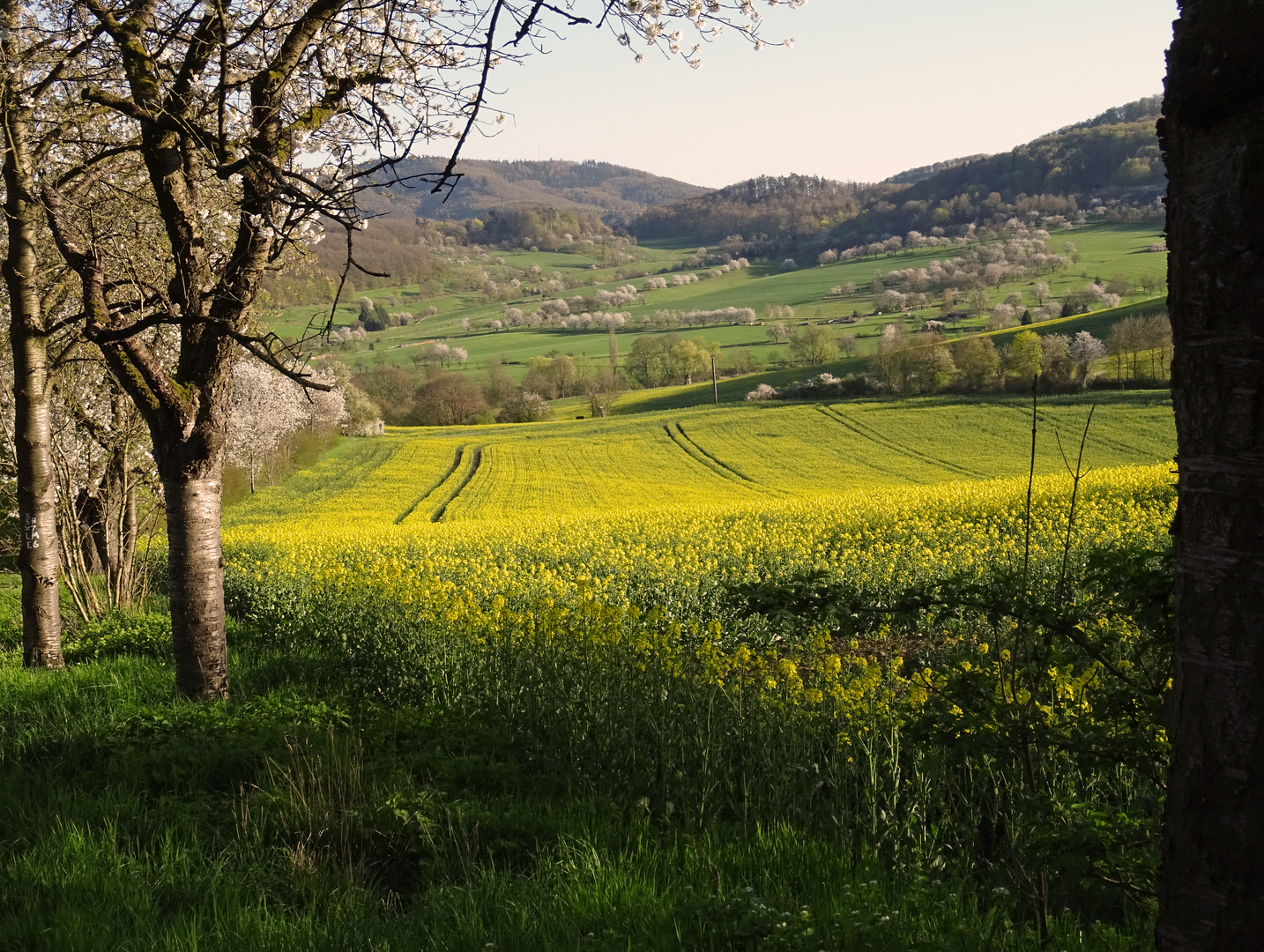 Blick hinab ins Tal