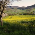 Blick hinab ins Tal