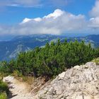 Blick hinab vom Imberger Horn