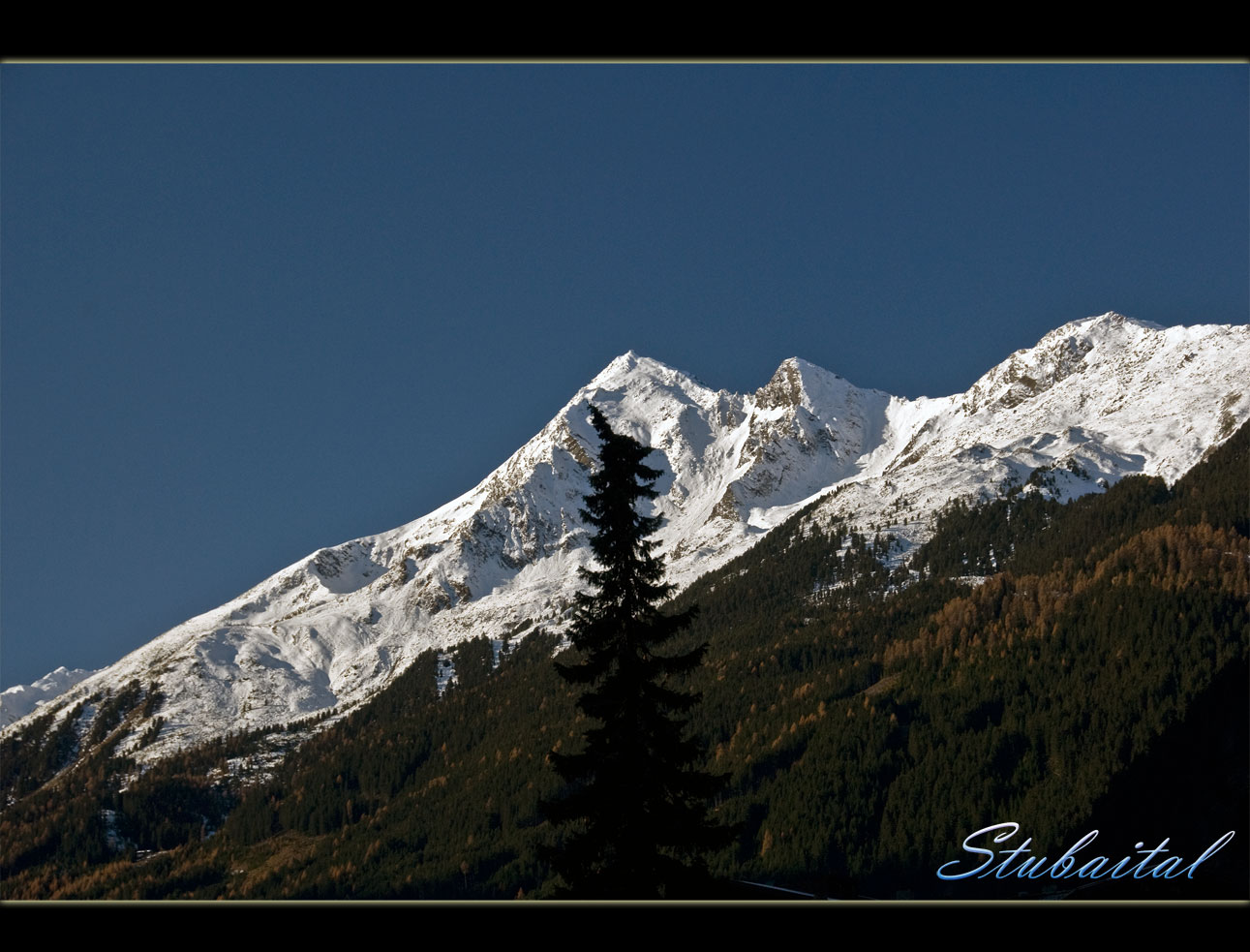 Blick hinauf