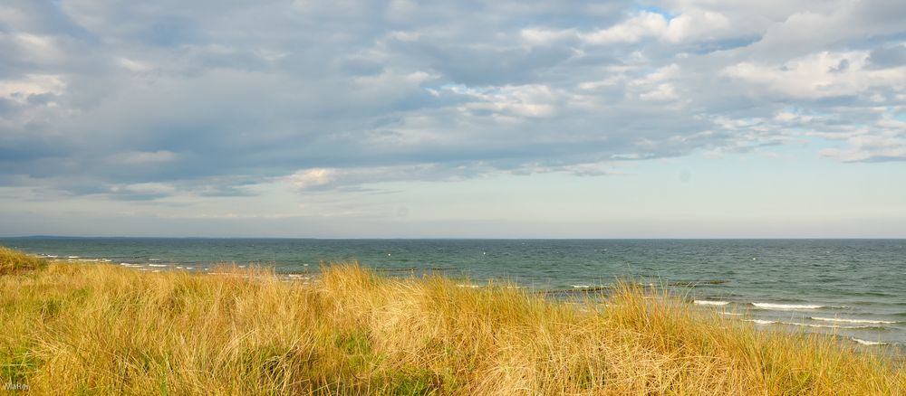 Blick hinaus in die Weite