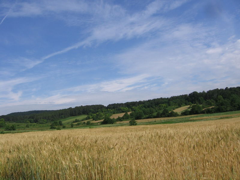 Blick hinters Haus