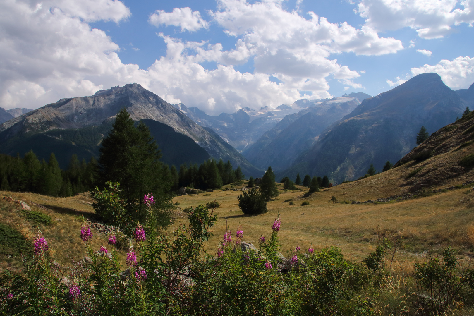 Blick hinüber ins Valnontey