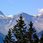 Blick hinüber zu den Bergen im Brandner Tal mit Schesaplana…