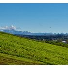 Blick hinüber zum Alpstein