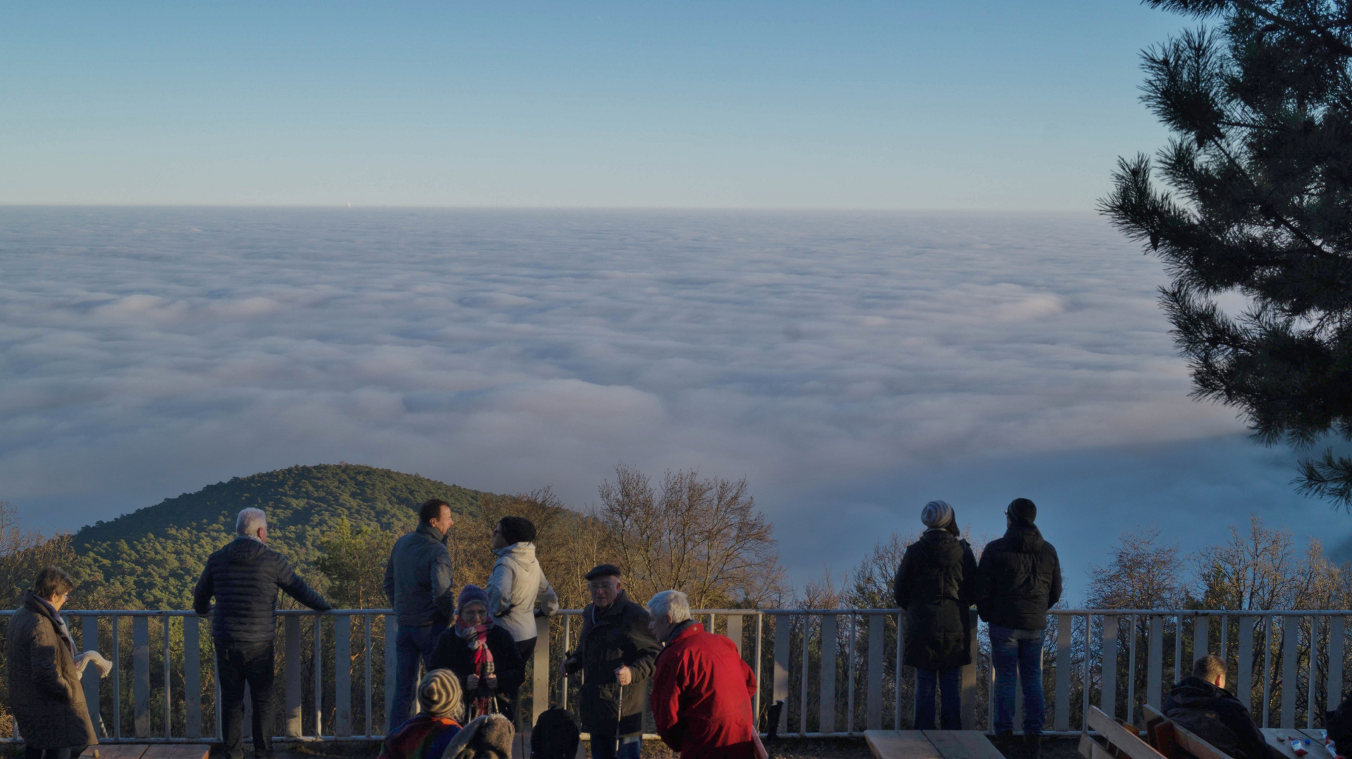 Blick hinunter in das Pfälzer Meer