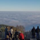 Blick hinunter in das Pfälzer Meer