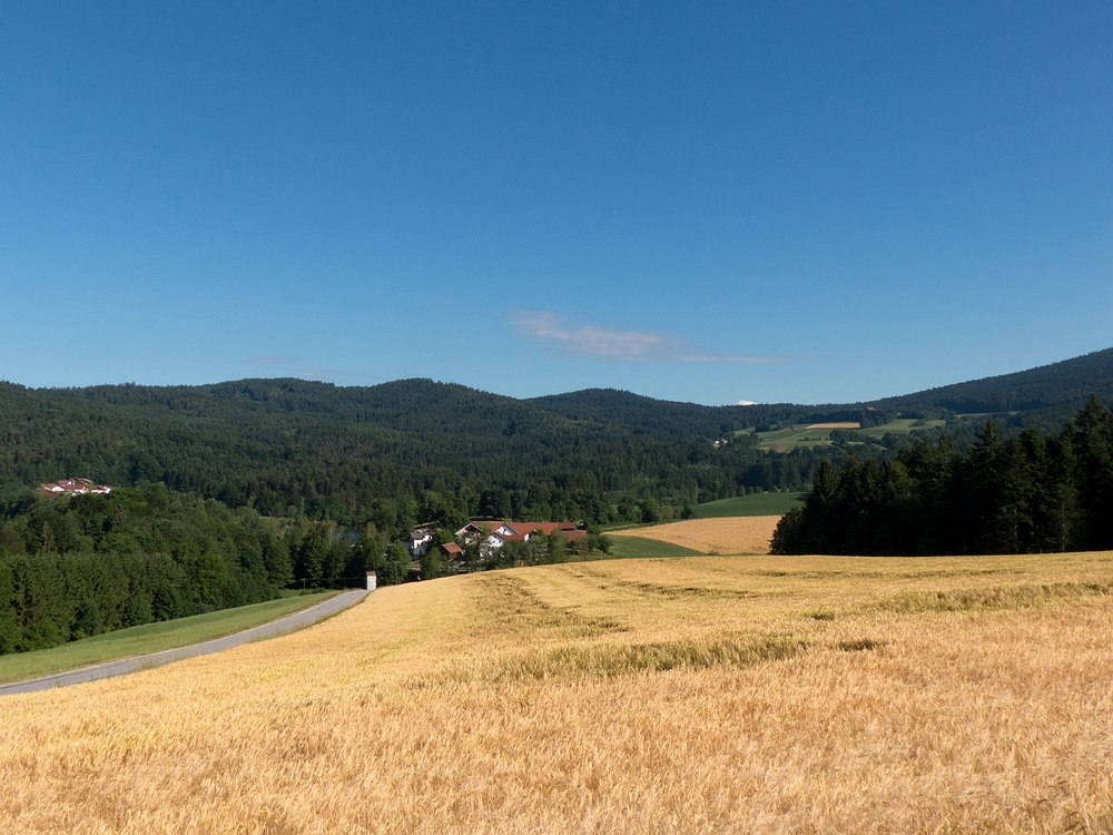 Blick hinununter nach Freudensee