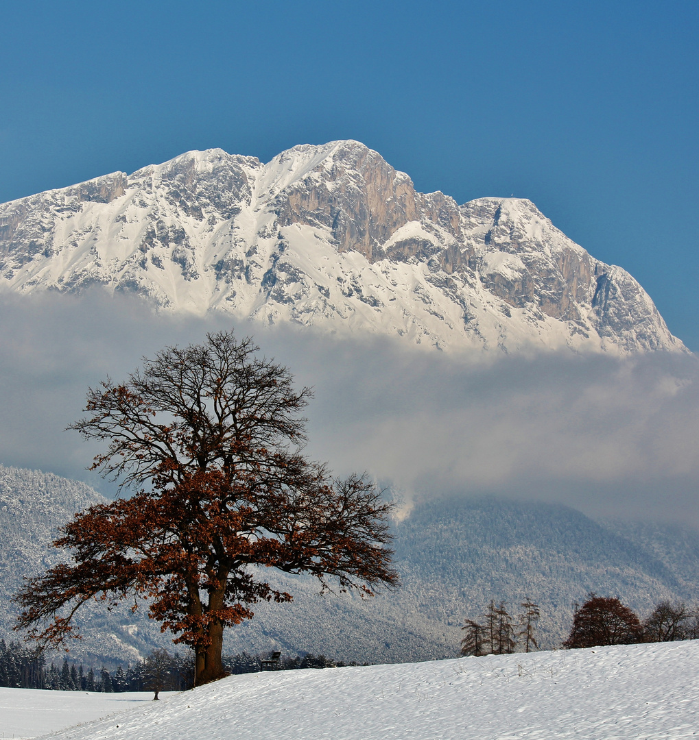 Blick Hohe Munde Mieminger Sonnenplateau