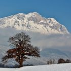 Blick Hohe Munde Mieminger Sonnenplateau