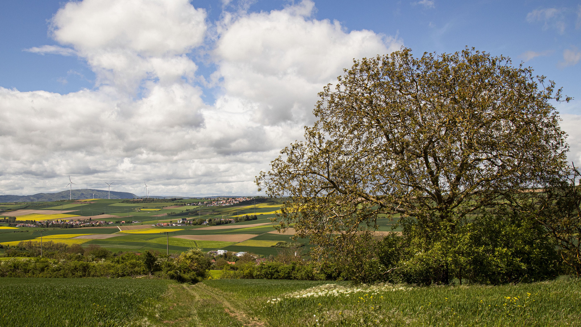 BLICK IM FRÜHLING