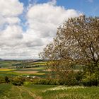 BLICK IM FRÜHLING