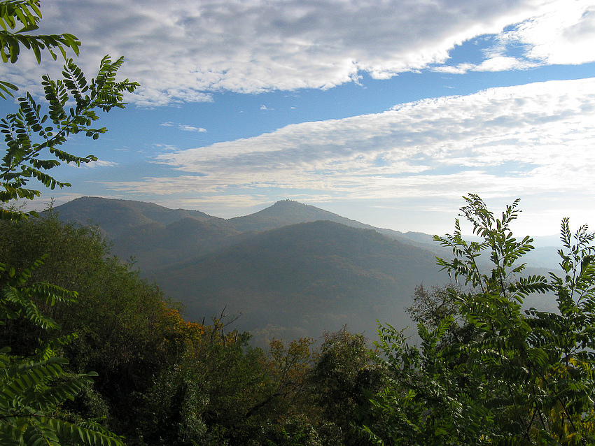 Blick im Morgengrauen vom Drachenfelsen / Königswinter