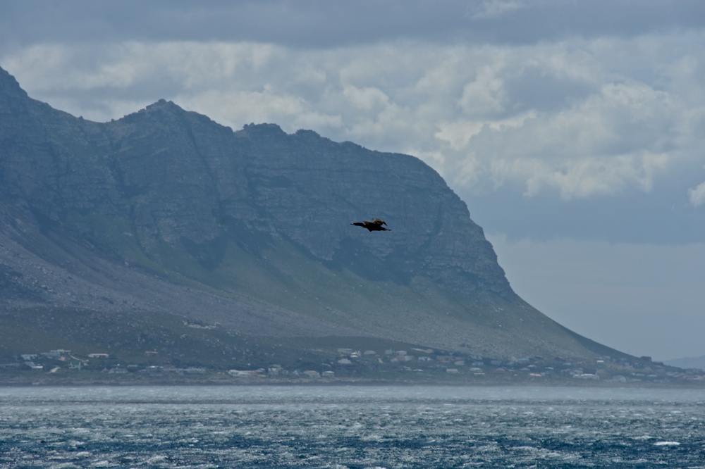 Blick in Betty's Bay