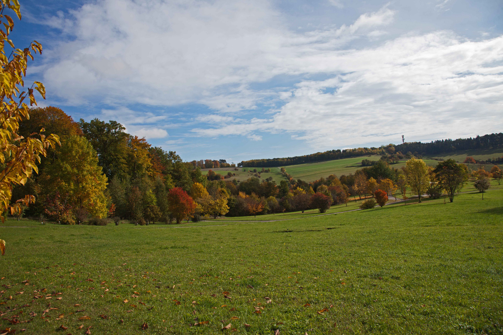 Blick in Botanischen Garten Ulm