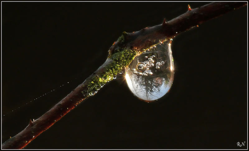 Blick in das Herz eines Wassertropfens.