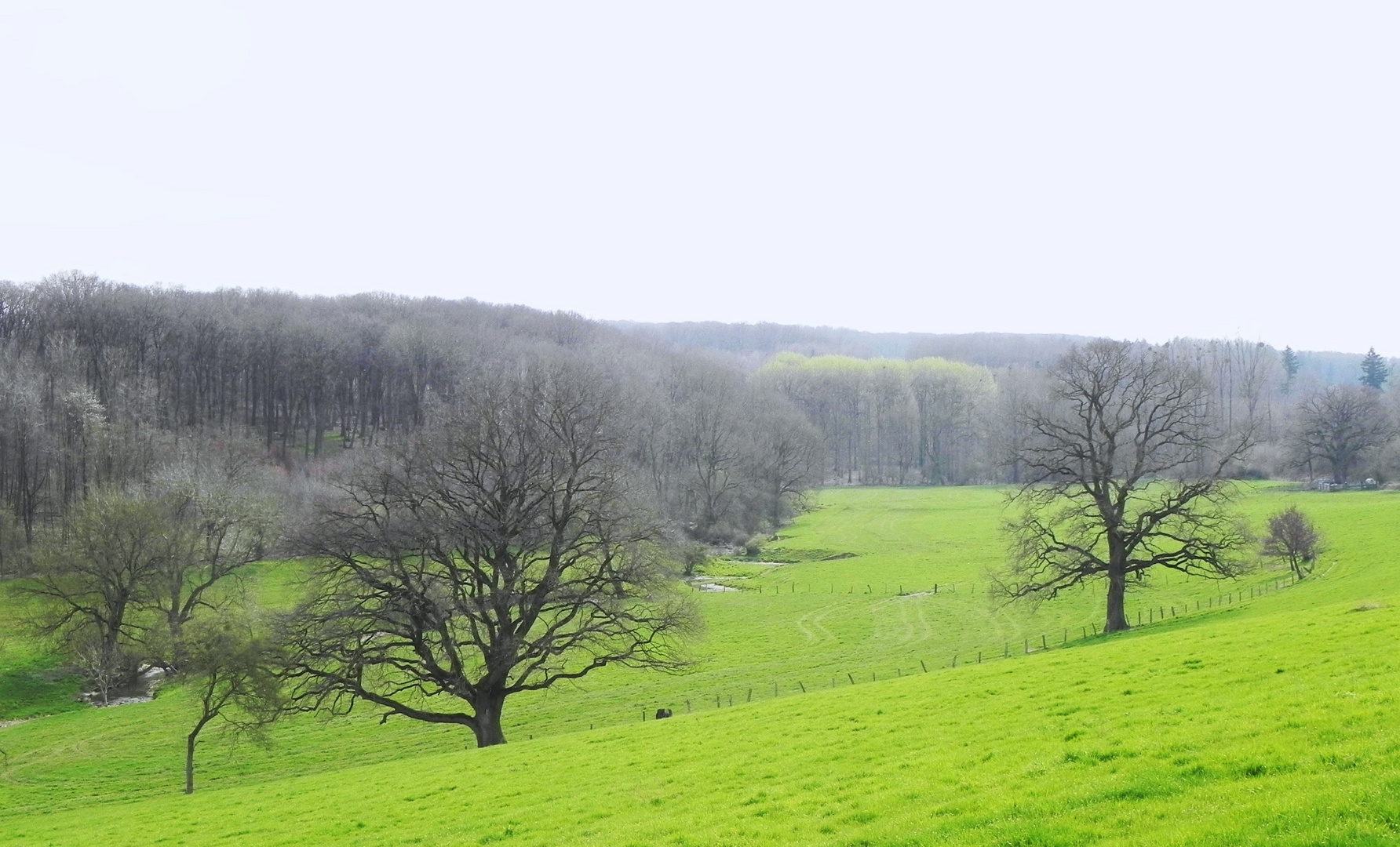 Blick in das Pöppelschetal 