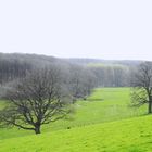 Blick in das Pöppelschetal 