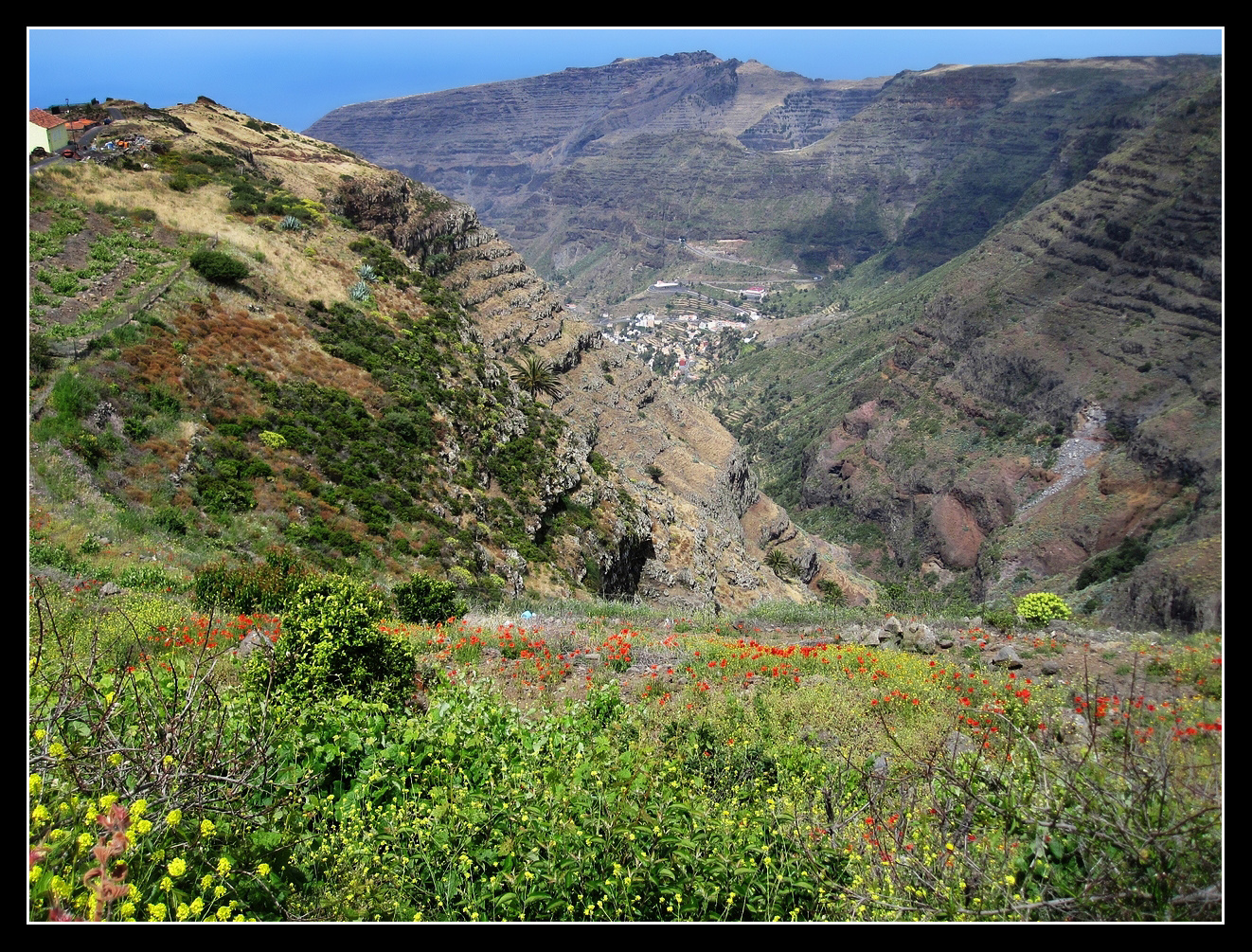 Blick in das Tal-Valle Gran Rey