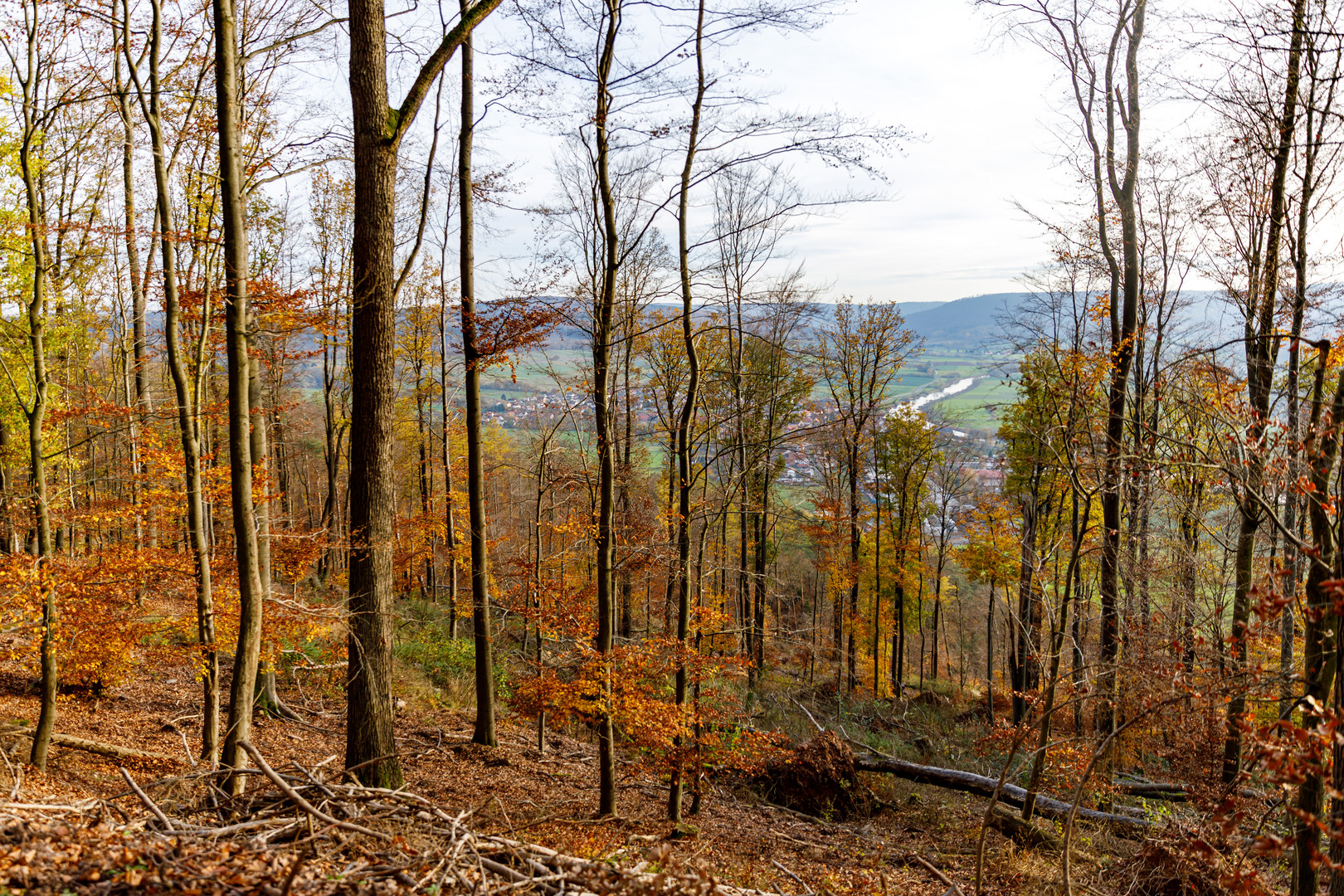 Blick in das Wesertal, Oedelsheim