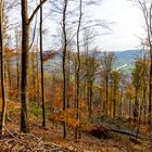 Blick in das Wesertal, Oedelsheim