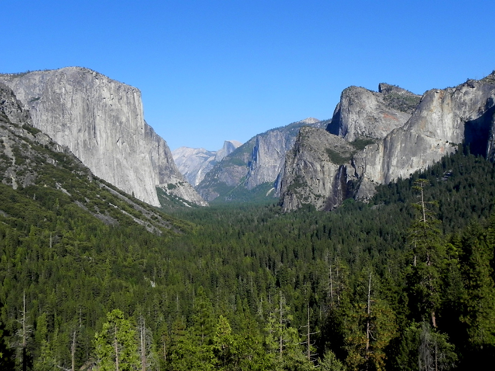 Blick in das Yosemite Valley
