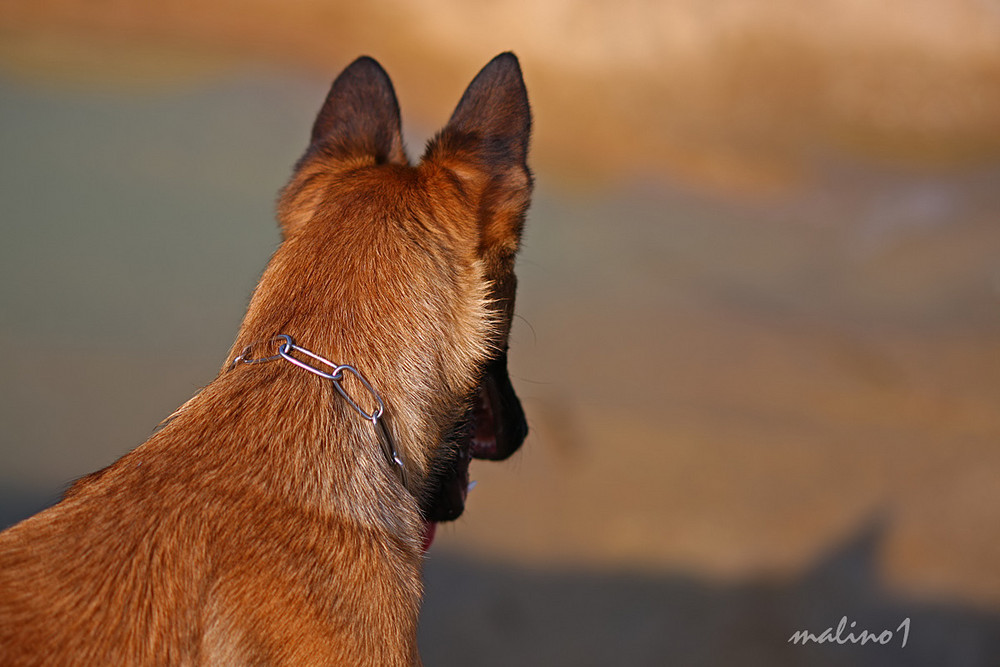 Blick in den Abgrund.......