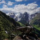 Blick in den Alpstein