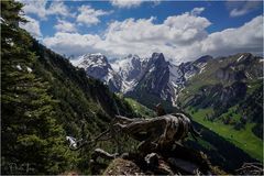 Blick in den Alpstein