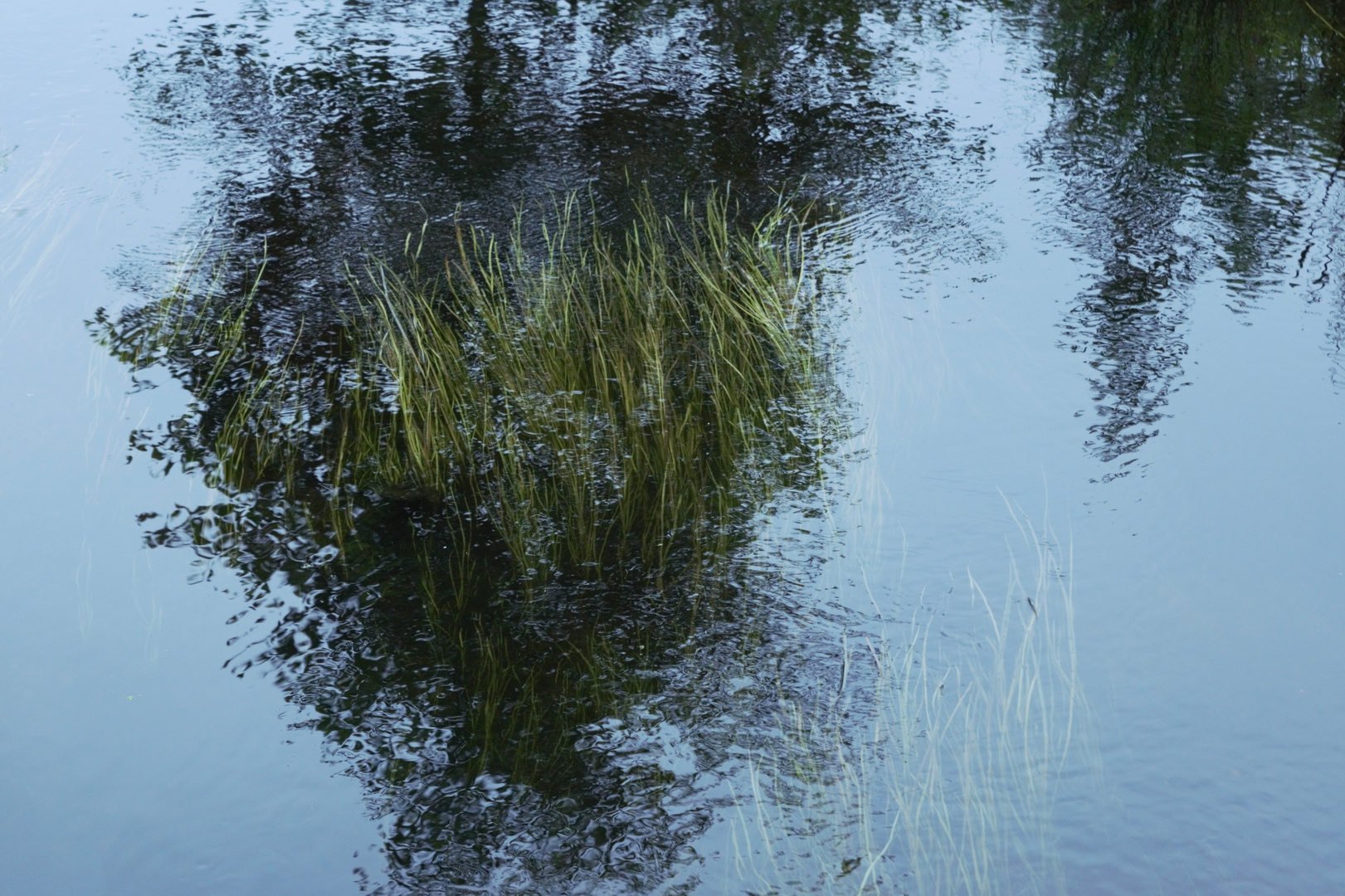 Blick in den Bach