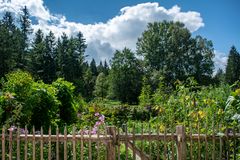 Blick in den Bauerngarten