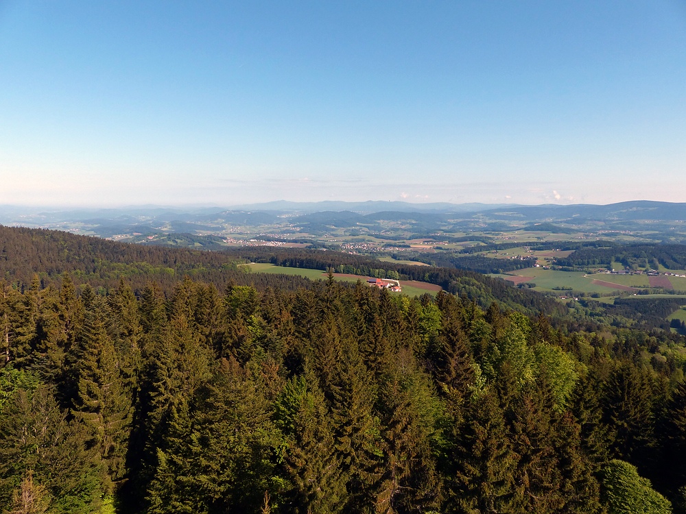 Blick in den Bayerwald