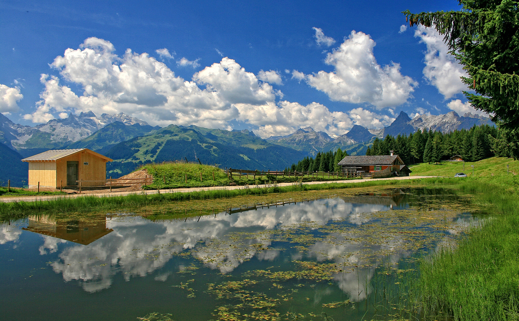 Blick in den Bergsommer !