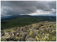 Blick in den Böhmer-"Wald"