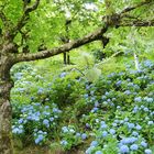 Blick in den Botanischen Garten