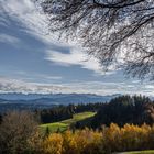 Blick in den Bregenzer Wald vom Pfänder