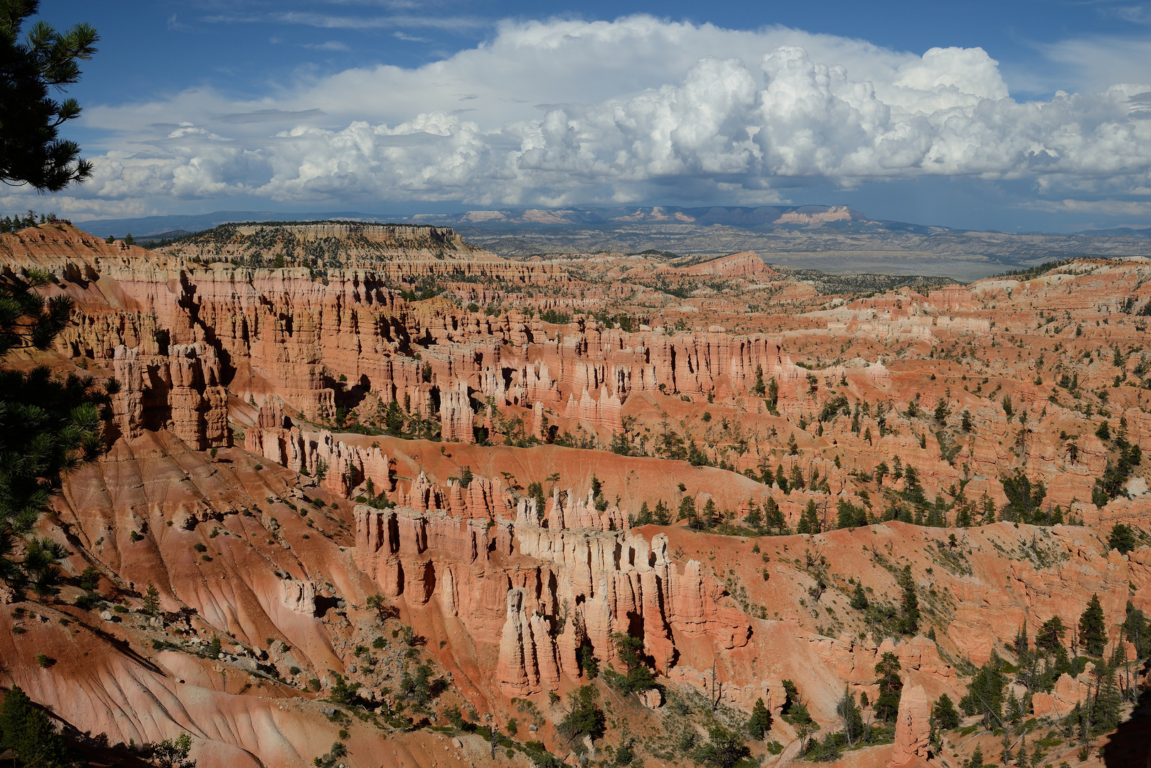 Blick in den Bryce Canyon