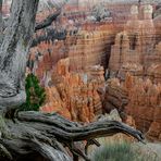 Blick in den Bryce Canyon