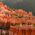 Blick in den Bryce Canyon