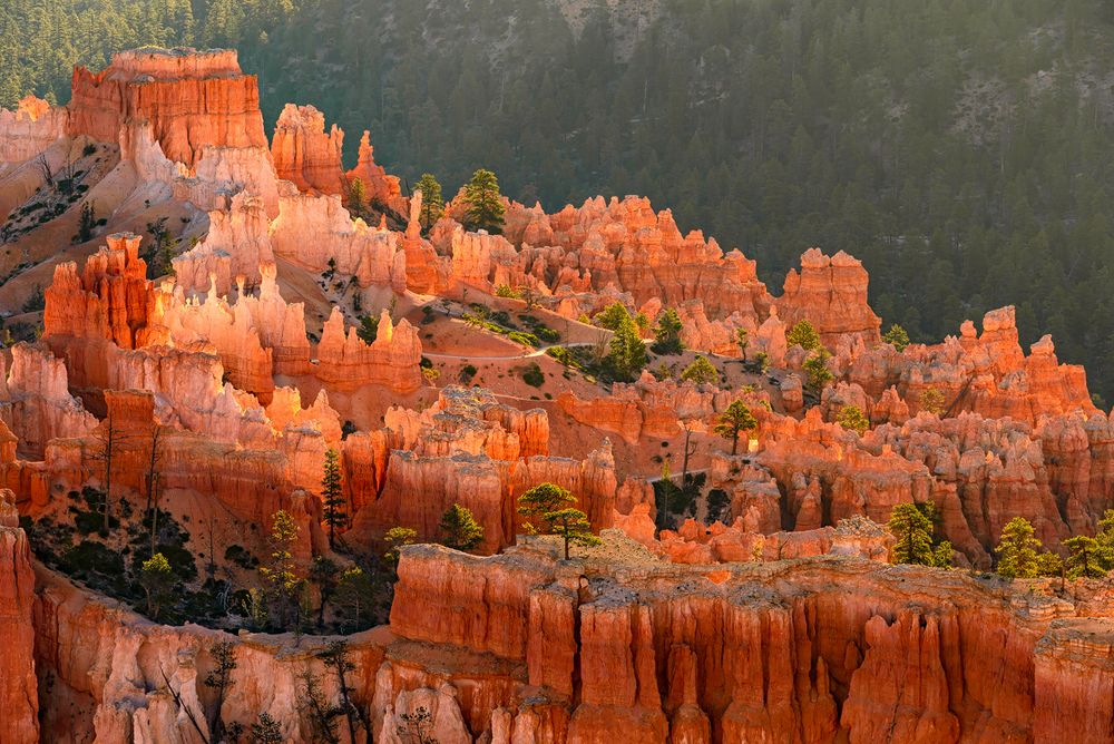 Blick in den Bryce Canyon