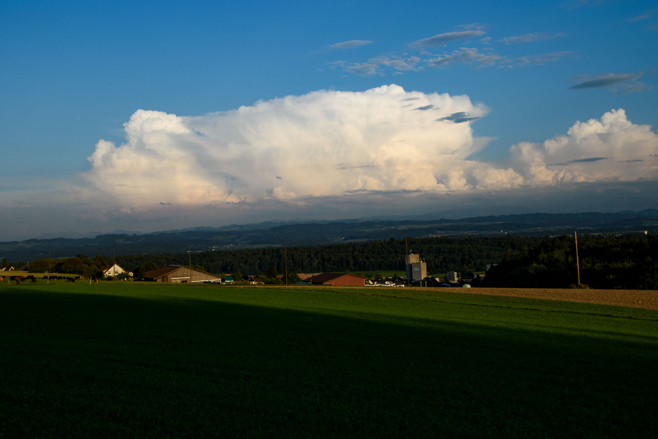 Blick in den Bucheggberg