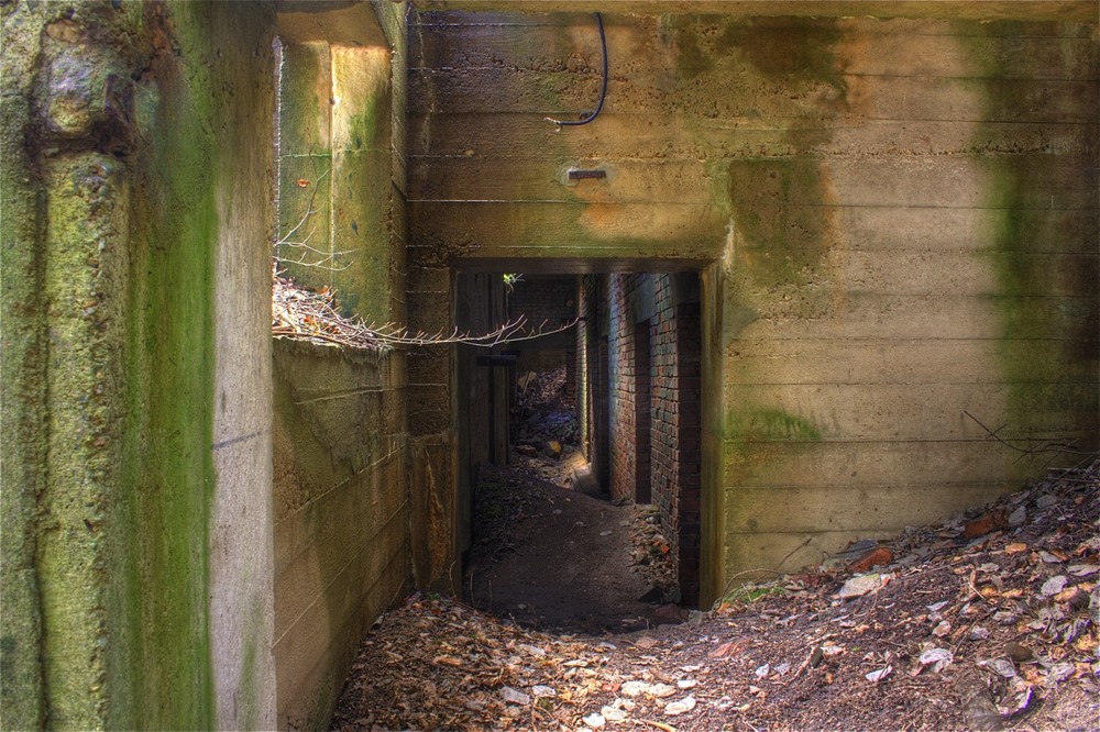 Blick in den Bunker