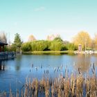 Blick in den Chinesischer Garten 