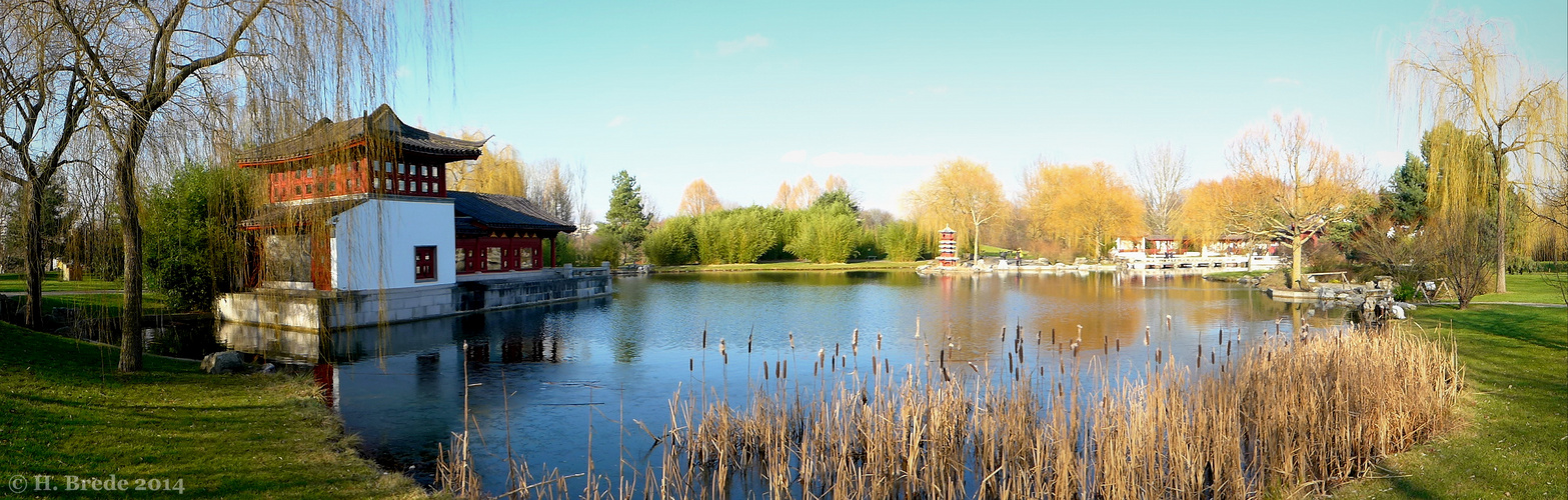 Blick in den Chinesischer Garten Foto & Bild berlin, natur